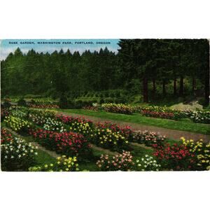 Linen Postcard Rose Garden Washington Park Portland Oregon E C Kropp Co